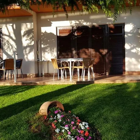 Fiori Umag