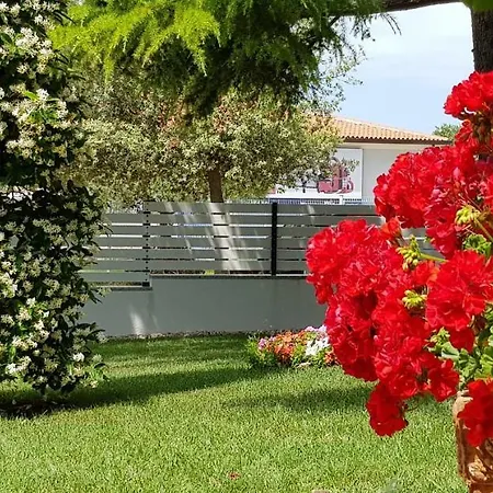 Fiori * Umag