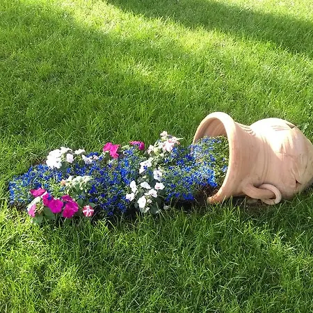 Fiori Διαμέρισμα Ουμάγκ